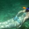 Kate dives in