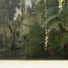 First view of the lagoon
