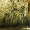In the cave 