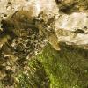 Water reflections on the cave walls