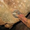This is what happens to stainless steel bolts in Thailand - ouch!