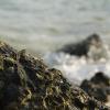 The rocks here are sharp