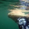 Mark snorkels by