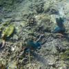 Underwater worlds