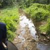 Riding an elephant through a Thai jungle