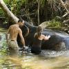 Kate and Mark washing the elephant