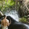The elephant could wash itself pretty well!