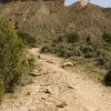 Looking towards the switchbacks on the Frontsize trail