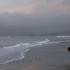 Morning fog