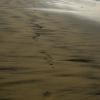 Kate's Vibram 5finger footprints!