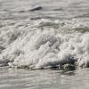 Surf