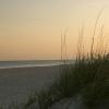 Evening on the coast of North Carolina