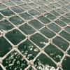 Watching the waves below the netting