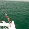 Little boat, big ocean