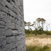Views of little trees on Cape Lookout