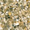 Lots of broken shells