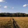 Wyoming2005