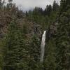 Treasure falls peaks out from the trees