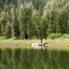The family fishing
