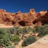 Caves and Juniper