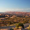 Desert Morning