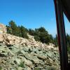 Rocks and pine trees