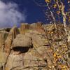 Aspens and rocks