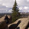 Views from the Summit